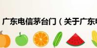 廣東電信茅臺門(關于廣東電信茅臺門介紹)