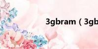 3gbram(3gbbs)