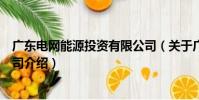 廣東電網能源投資有限公司(關于廣東電網能源投資有限公司介紹)
