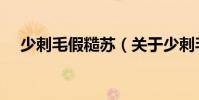 少刺毛假糙蘇(關于少刺毛假糙蘇簡介)