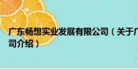 廣東暢想實業發展有限公司(關于廣東暢想實業發展有限公司介紹)