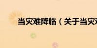 當災難降臨(關于當災難降臨介紹)