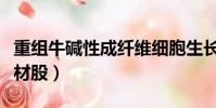重組牛堿性成纖維細胞生長因子凝膠(重組題材股)