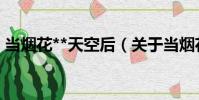 當煙花**天空后(關于當煙花**天空后介紹)