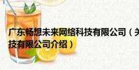 廣東暢想未來網絡科技有限公司(關于廣東暢想未來網絡科技有限公司介紹)