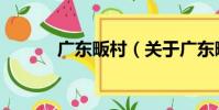 廣東畈村(關于廣東畈村介紹)