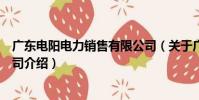 廣東電陽電力銷售有限公司(關于廣東電陽電力銷售有限公司介紹)