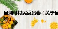 當湖村村民委員會(關于當湖村村民委員會介紹)