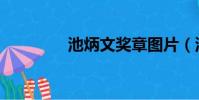 池炳文獎章圖片(池炳文)