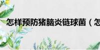 怎樣預防豬腦炎鏈球菌(怎樣預防豬流感)