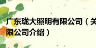 廣東瓏大照明有限公司(關于廣東瓏大照明有限公司介紹)