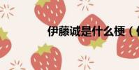 伊藤誠是什么梗(伊藤誠)