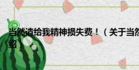 當然請給我精神損失費!(關于當然請給我精神損失費!介紹)