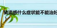 豬流感什么癥狀能不能治好(豬流感什么癥狀)