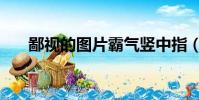 鄙視的圖片霸氣豎中指(鄙視的英文)