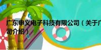廣東申義電子科技有限公司(關于廣東申義電子科技有限公司介紹)
