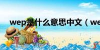 wep是什么意思中文(wep是什么意思)