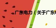 廣東電力(關于廣東電力介紹)
