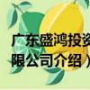 廣東盛鴻投資有限公司（關于廣東盛鴻投資有限公司介紹）
