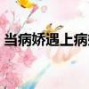 當病嬌遇上病嬌（關于當病嬌遇上病嬌介紹）