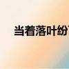 當著落葉紛飛（關于當著落葉紛飛介紹）