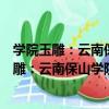 學院玉雕：云南保山學院寶玉石鑒定與加工技（關于學院玉雕：云南保山學院寶玉石鑒定與加工技介紹）