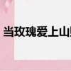 當玫瑰愛上山賊（關于當玫瑰愛上山賊介紹）