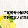 廣東省專業鎮轉型升級重大問題研究（關于廣東省專業鎮轉型升級重大問題研究介紹）
