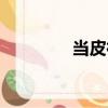 當皮襖（關于當皮襖介紹）