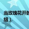 當玫瑰花開的時候（關于當玫瑰花開的時候介紹）