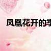 鳳凰花開的季節女童版（鳳凰花開的季節）