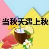 當秋天遇上秋天（關于當秋天遇上秋天介紹）