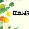 紅五月歌曲排行榜（紅五月歌曲）