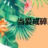 當愛成碎片（關于當愛成碎片介紹）