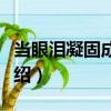 當眼淚凝固成子彈（關于當眼淚凝固成子彈介紹）
