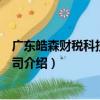 廣東皓森財稅科技有限公司（關于廣東皓森財稅科技有限公司介紹）