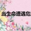 當生命遭遇危險（關于當生命遭遇危險介紹）