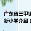 廣東省三甲鎮大新小學（關于廣東省三甲鎮大新小學介紹）