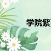 學院紫蔓（關于學院紫蔓介紹）