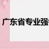 廣東省專業強鎮（關于廣東省專業強鎮介紹）