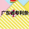 廣東省專利條例（關于廣東省專利條例介紹）