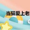 當貓愛上老鼠（關于當貓愛上老鼠介紹）