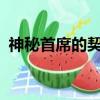 神秘首席的契約txt下載（神秘首席的契約）