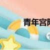 青年宮附近電影院（青年宮ktv）