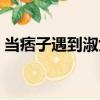 當痞子遇到淑女（關于當痞子遇到淑女介紹）