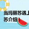當瑪麗蘇遇上湯姆蘇（關于當瑪麗蘇遇上湯姆蘇介紹）
