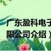 廣東盈科電子有限公司（關于廣東盈科電子有限公司介紹）