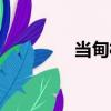 當甸村（關于當甸村介紹）