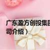 廣東盈方創投集團有限公司（關于廣東盈方創投集團有限公司介紹）