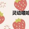靈動嘻哈勢力2（靈動嘻哈勢力2）